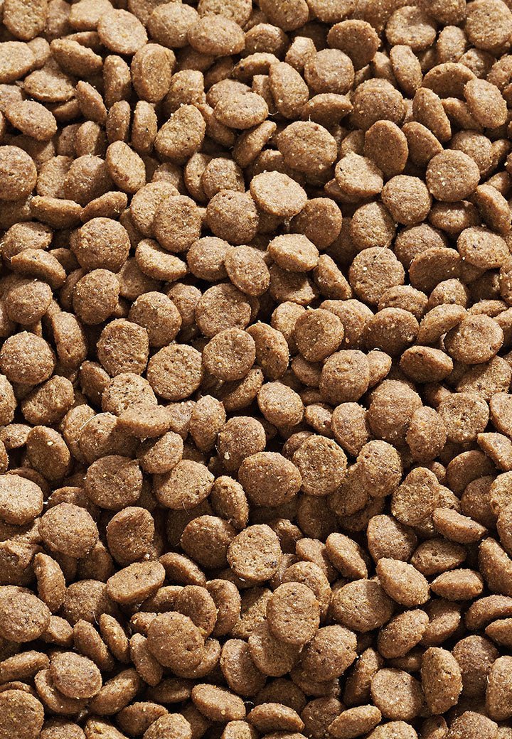 Cat Indoor - Vet Concept