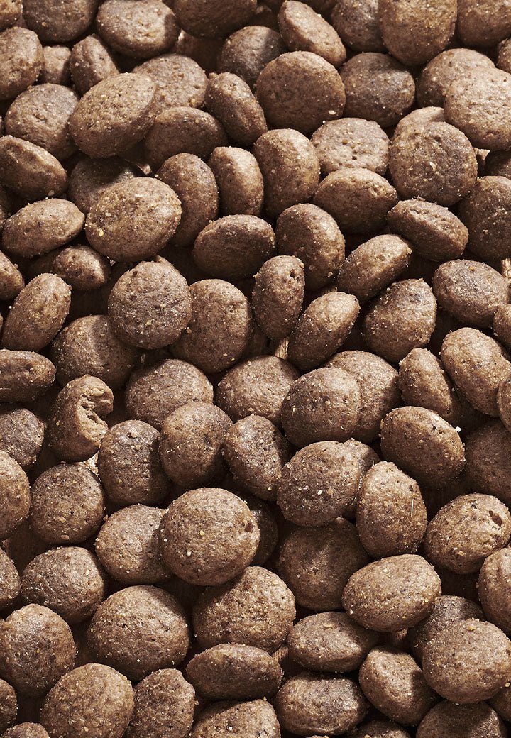Dog Intestinal Low Fat - Vet Concept