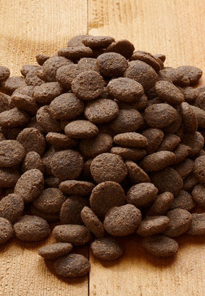 Active Plain - Vet Concept