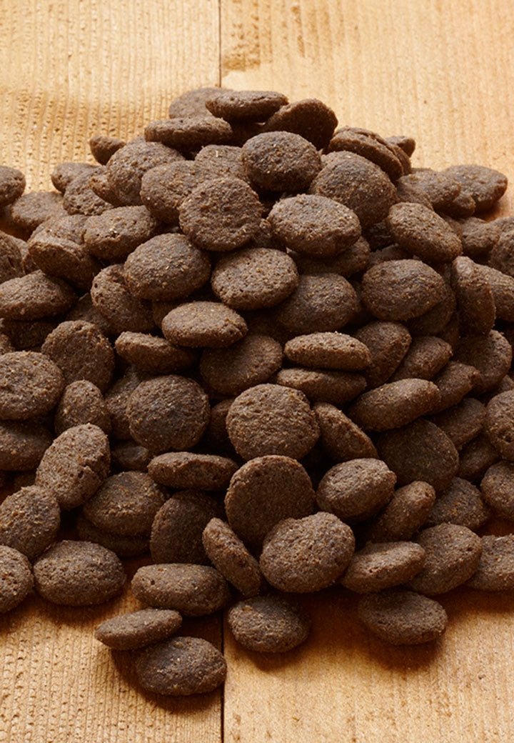 Active Plain - Vet Concept