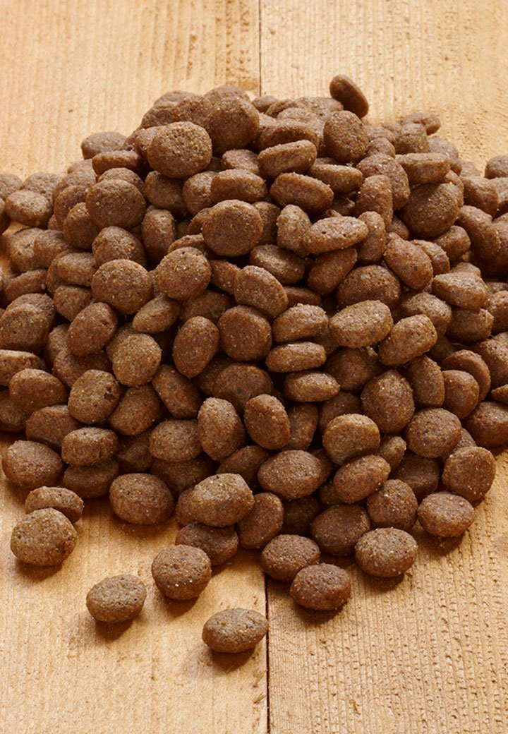 Canard Pack - Vet Concept