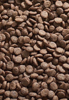 Cat Allergy Hanhi - Vet Concept