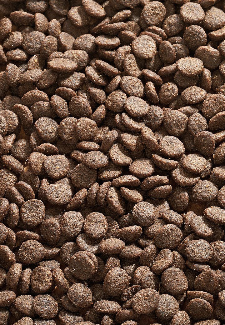 Cat Allergy Hanhi - Vet Concept