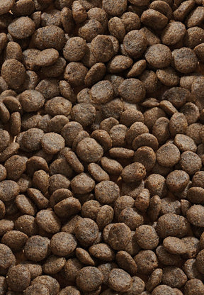 Cat Allergy Peura - Vet Concept