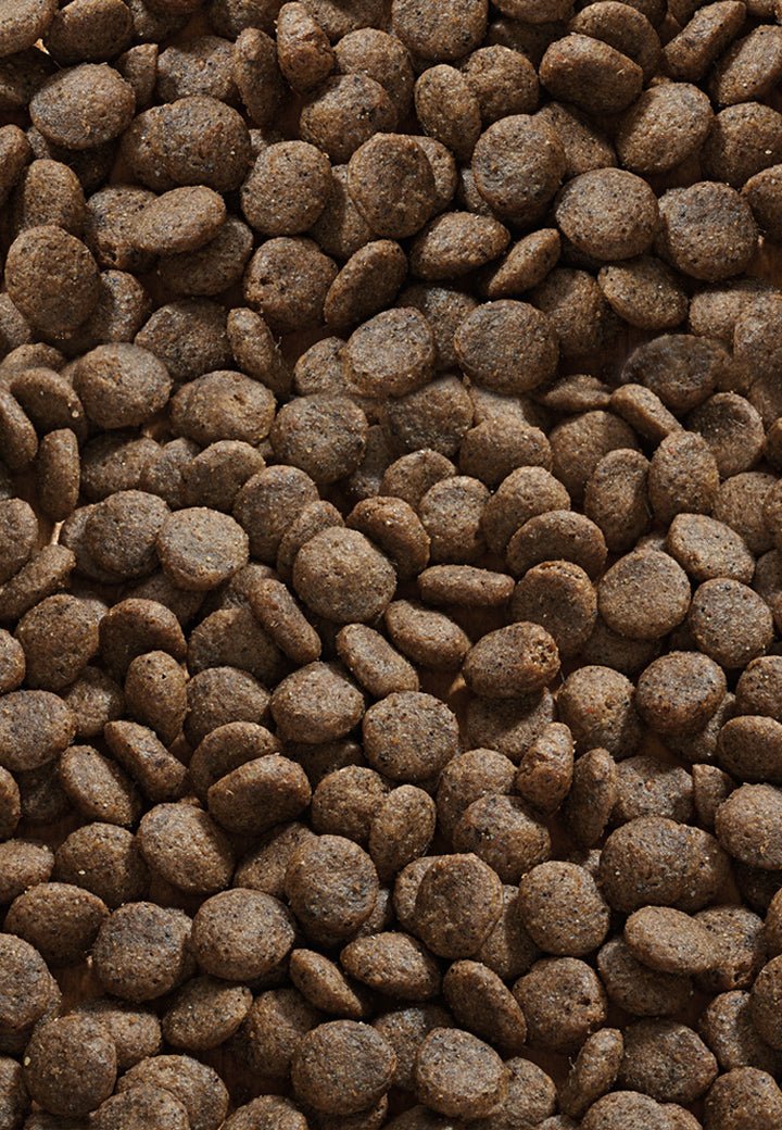 Cat Allergy Peura - Vet Concept