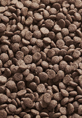 Cat Intestinal - Vet Concept