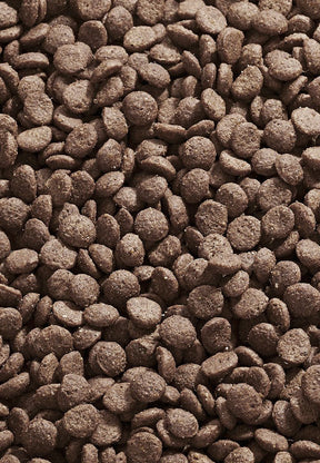 Cat Intestinal Low Fat - Vet Concept