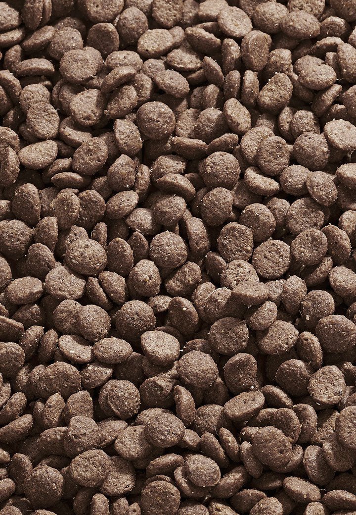 Cat Intestinal Low Fat - Vet Concept