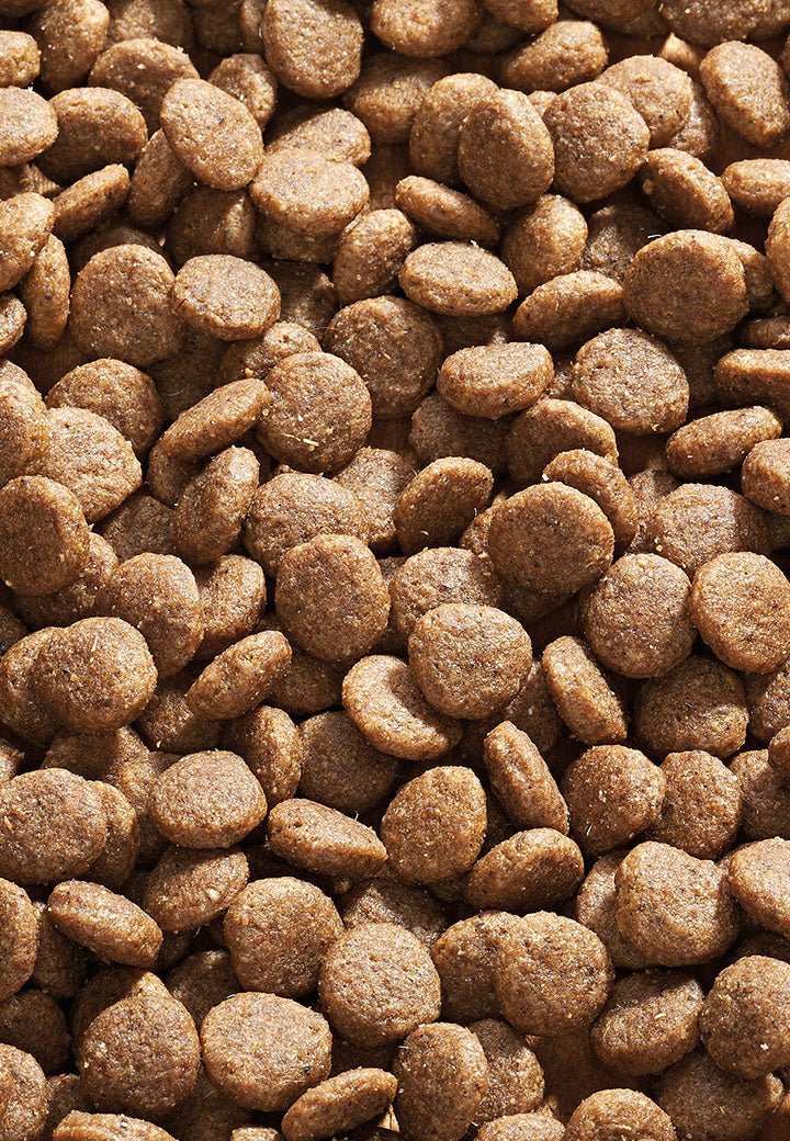 Cat L-Protect - Vet Concept