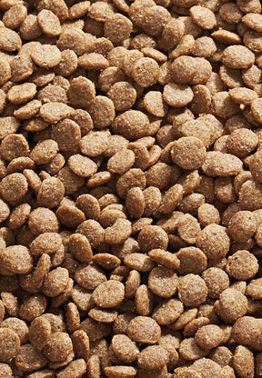 Cat Low Protein - Vet Concept