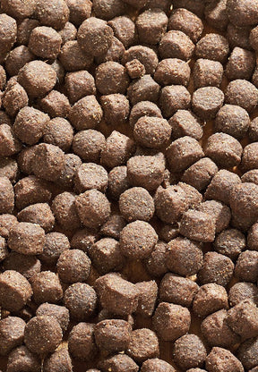 Cat Maxi - Vet Concept