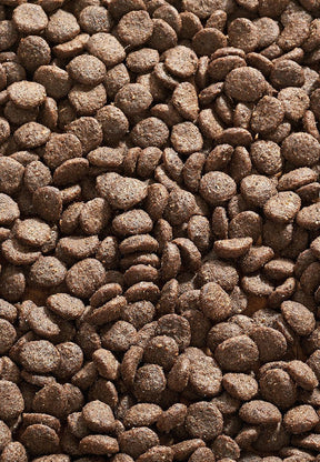 Cat Sana Hevonen - Vet Concept