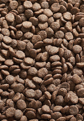 Cat Sana Puhveli - Vet Concept