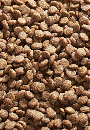 Cat Senior - Vet Concept