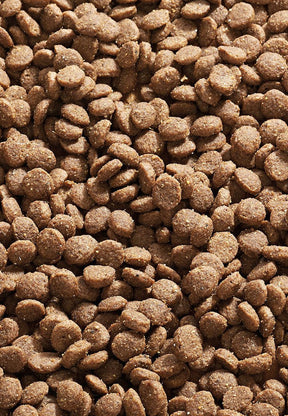 Cat Young Sensitive - Vet Concept