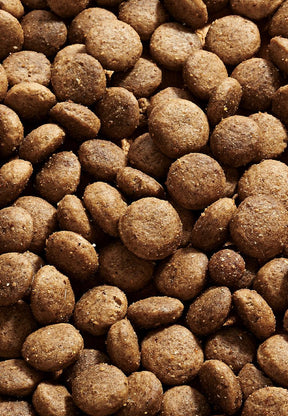 Dog Arthro Pack - Vet Concept