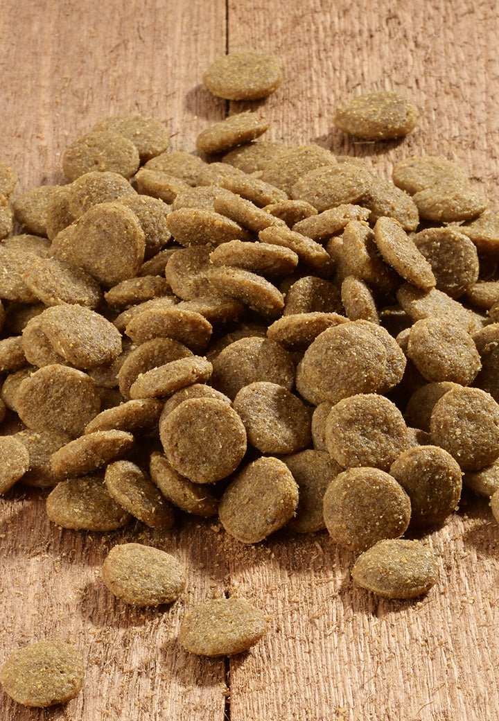 Dog L-Protect - Vet Concept