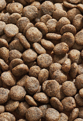 Dog Sana Hevonen - Vet Concept