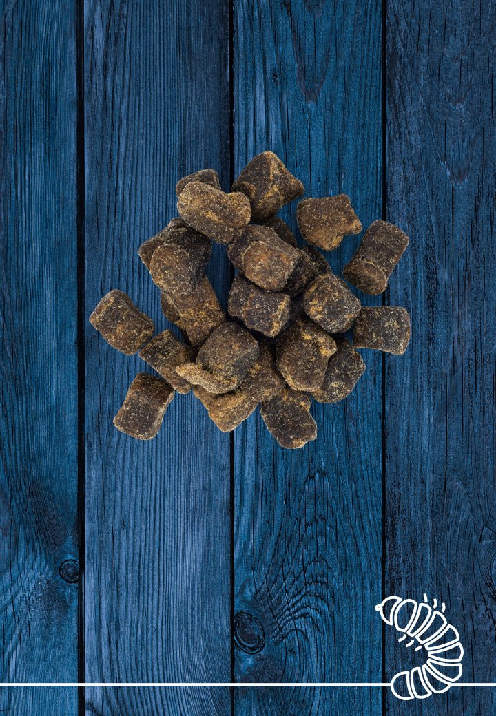 Hyönteisherkut - Vet Concept