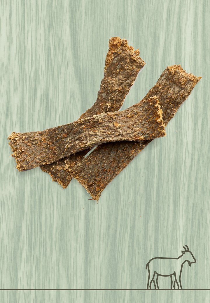 Närimispulgad kitselihaga