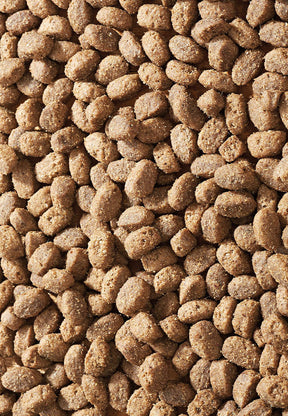 Lamb Pack Mini - Vet Concept