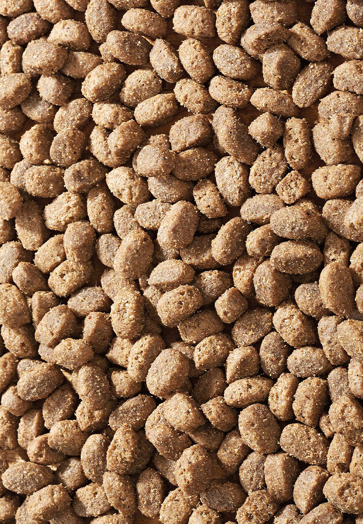 Lamb Pack Mini - Vet Concept