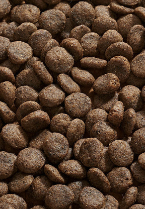 Sensitive Diet Taimen - Vet Concept