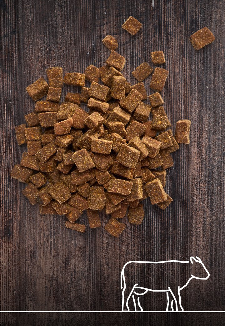 vasikkafleisch-Leckerchen - Vet Concept