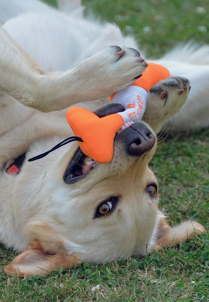 Vet-concept kelluva lelu - Vet Concept