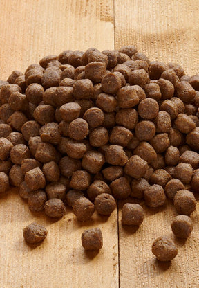 Young Pack Midi - Vet Concept