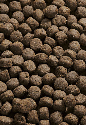 Young Pack Sensitive Maxi - Vet Concept