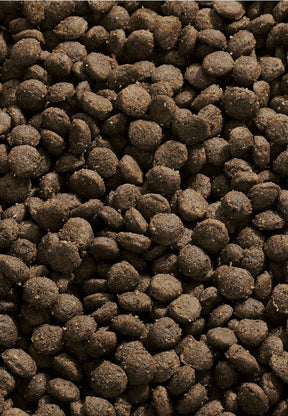 Young Pack Sensitive Mini - Vet Concept