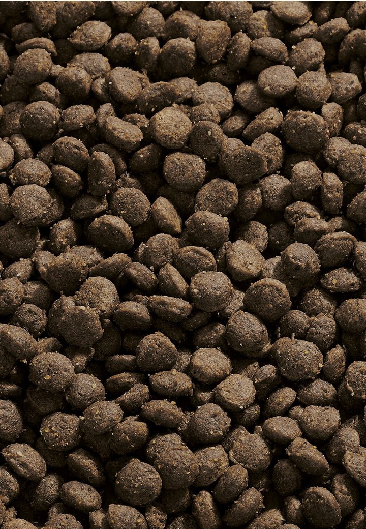 Young Pack Sensitive Mini - Vet Concept